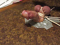 ballbusting, bdsm, cuckold